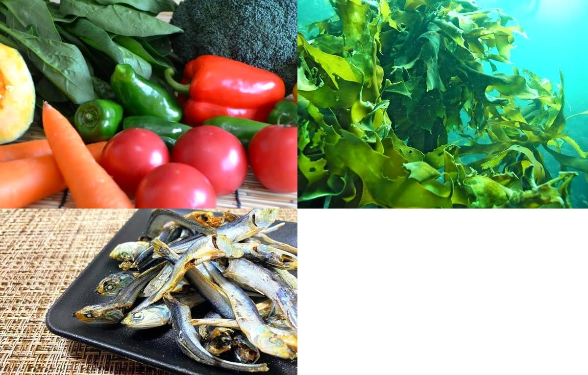 野菜・海藻・小魚の写真