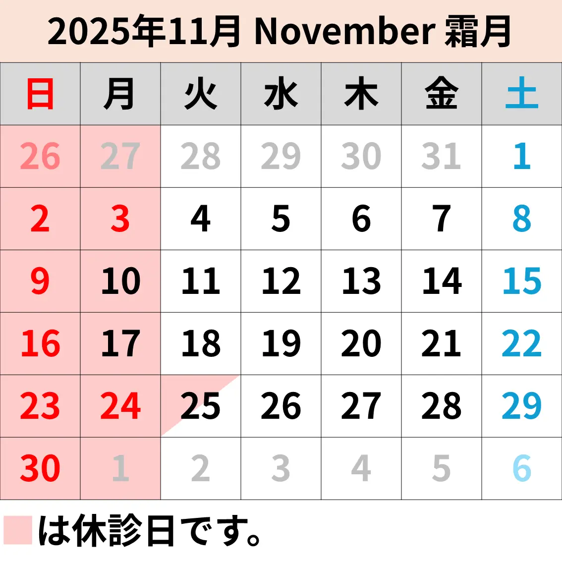 11月